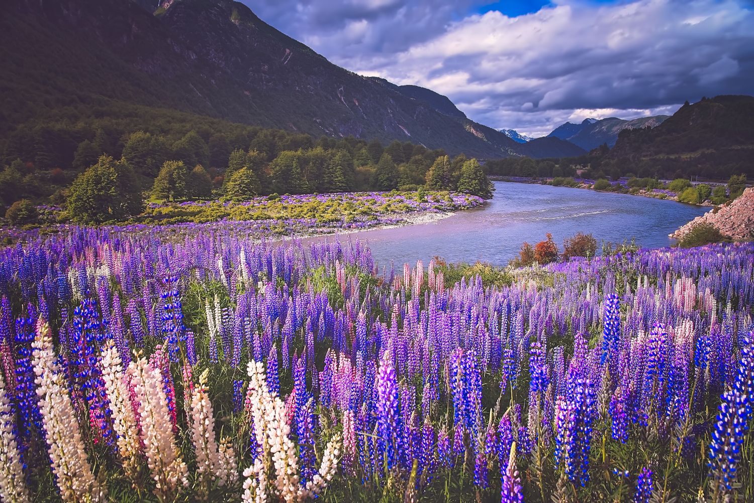 Nature attractions