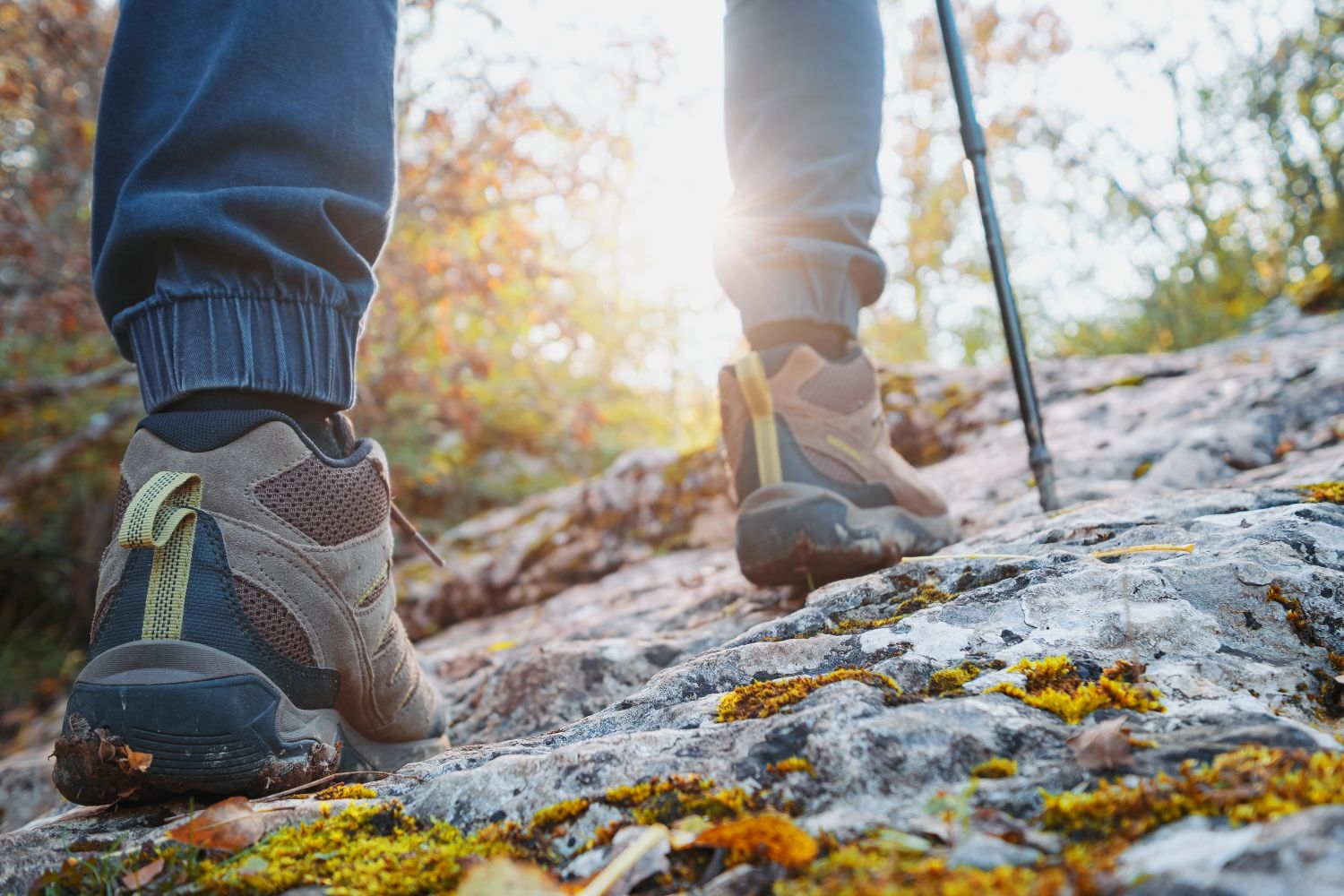 Hiking / Trekking